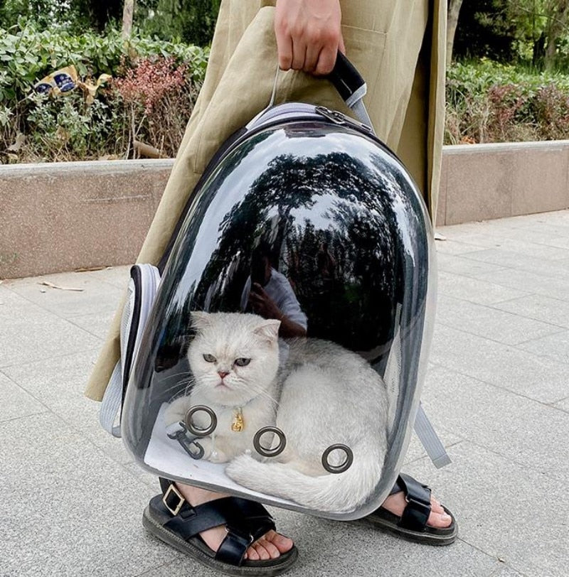 Travel Backpack pour Chats et petits Chiens