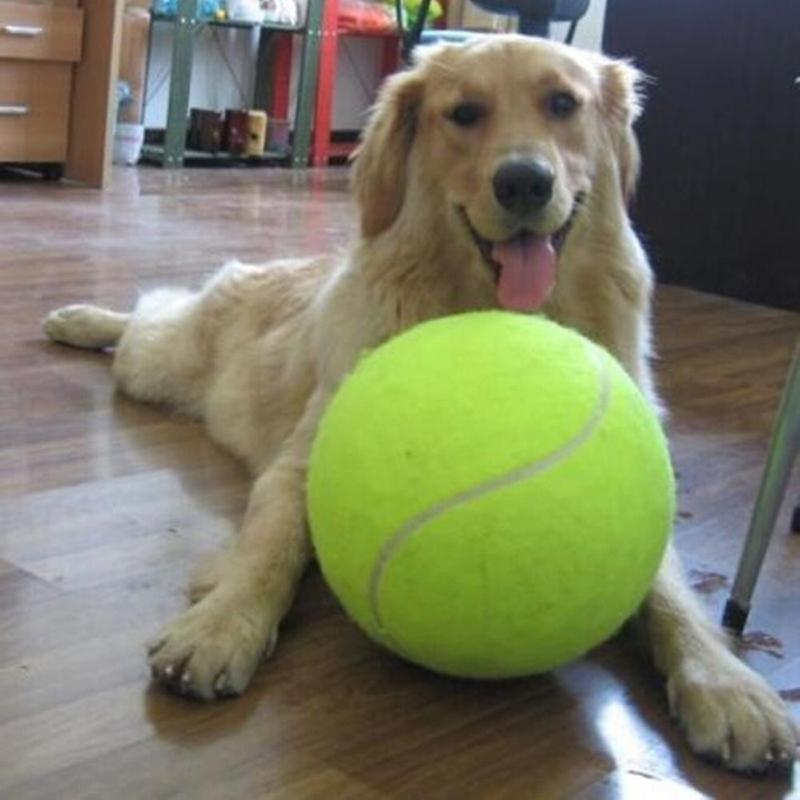 Balle de tennis pour chiens diamètre 6,4 cm couleurs variées Record