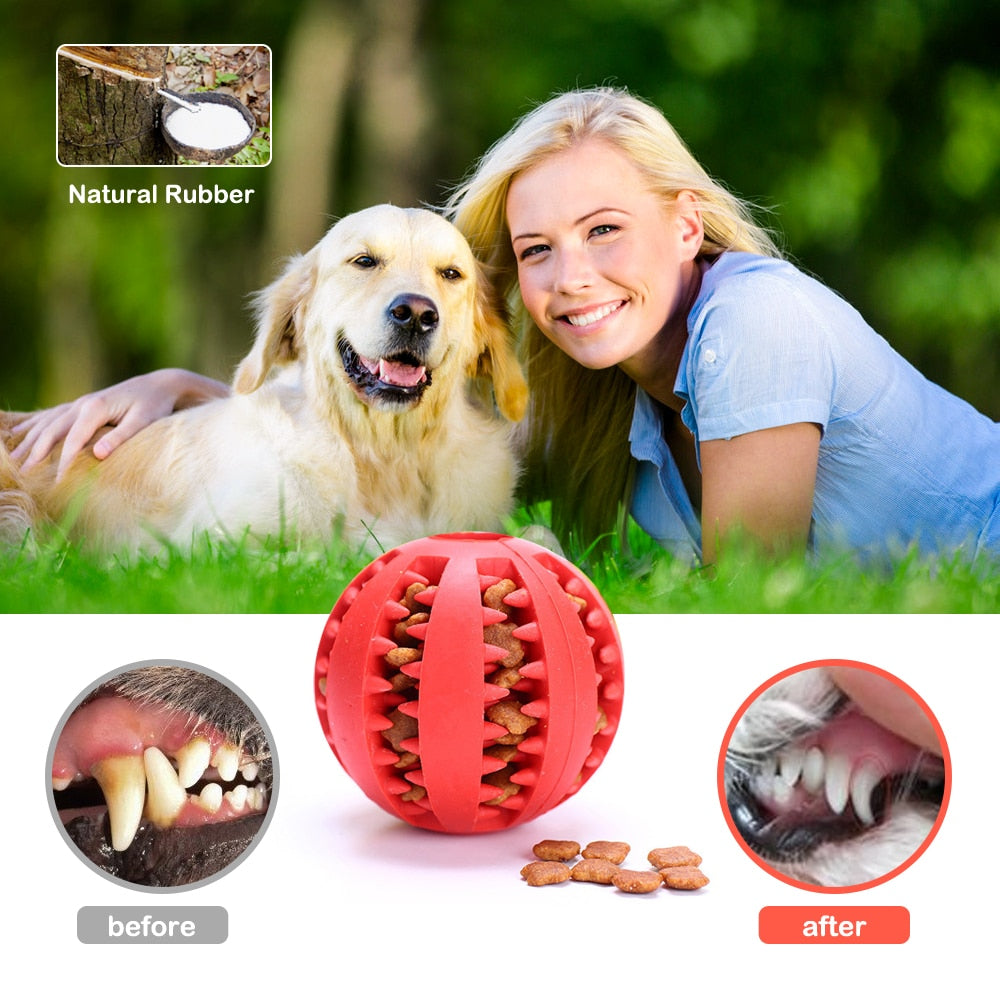 Balle interactive qui nettoie les dents de votre animal