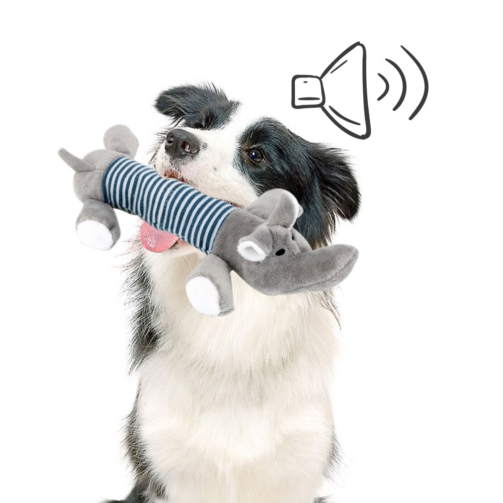 SoundToys™ jouet en peluche pour chiens | chien